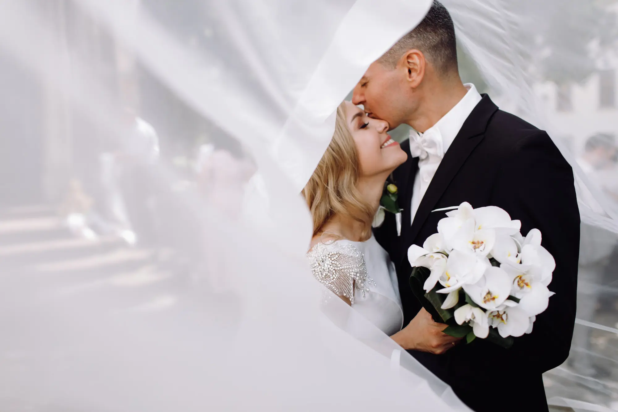 Novios